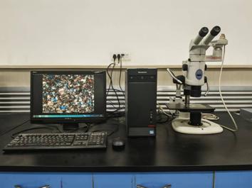 180313683619a2d2d5d3c884625d43d